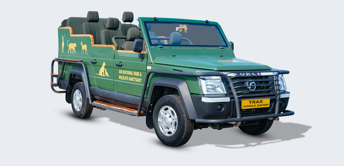 Trax Jungle Safari